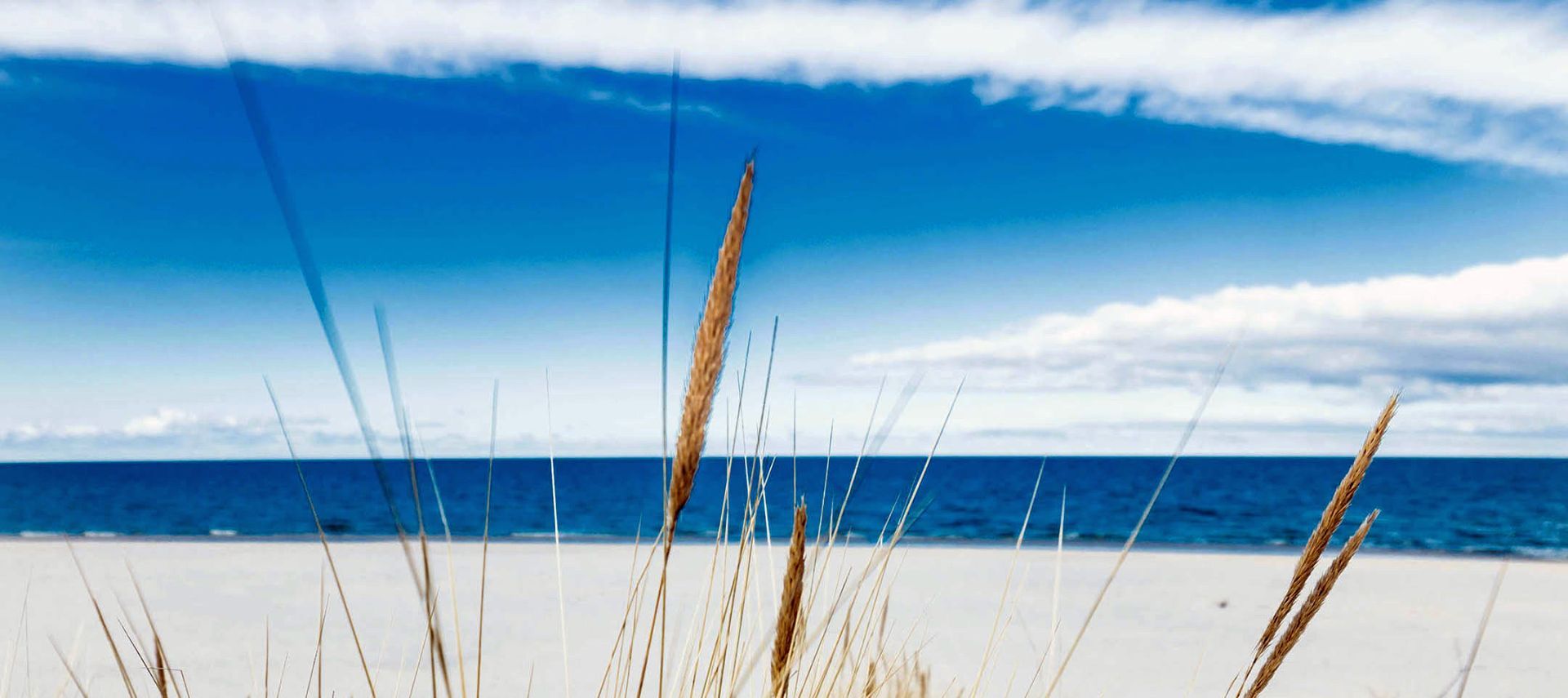 Apartament Blue Moon